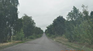 Автомобільна дорога загального користування місцевого значення О-02-17-05 границя Житомирської області-Погребище-Іллінці